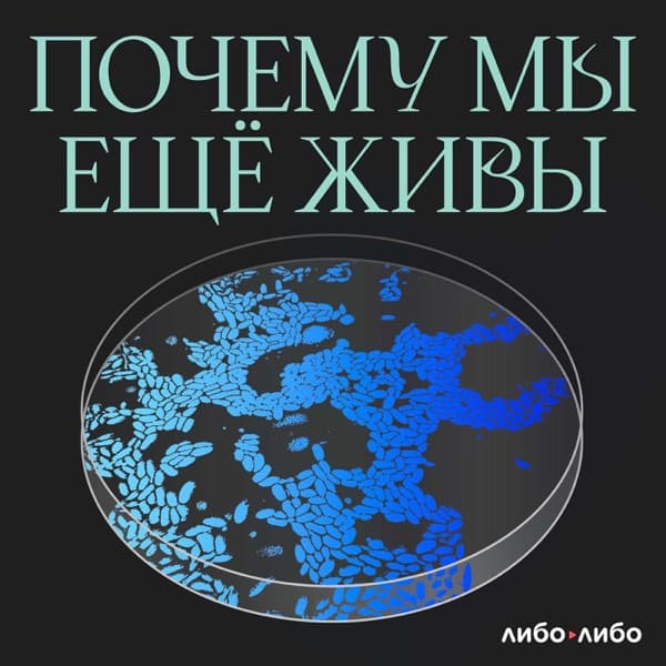 Libo/Libo podcast cover